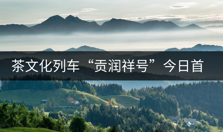 茶文化列車“貢潤祥號(hào)”今日首發(fā) 普洱茶膏搭上高鐵走出云南 茶文化列車“貢潤祥號(hào)”今日首發(fā) 普洱茶膏搭上高鐵走出云南