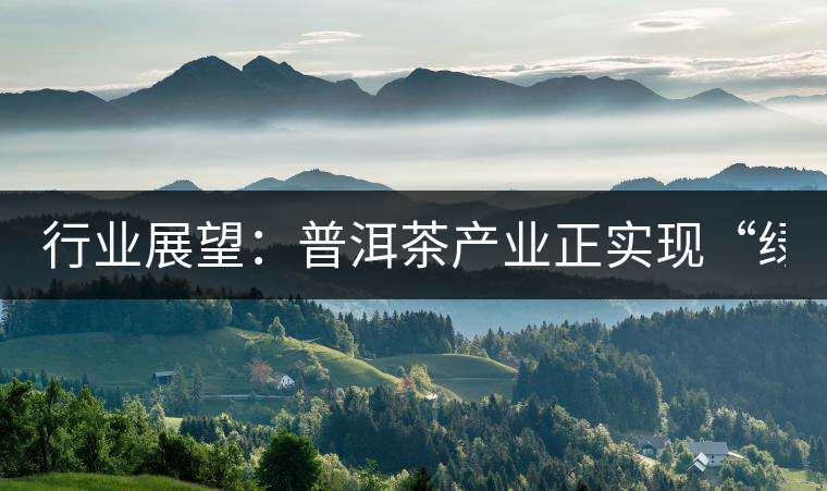 行業(yè)展望:普洱茶產(chǎn)業(yè)正實(shí)現(xiàn)“綠色崛起” 行業(yè)展望:普洱茶產(chǎn)業(yè)正實(shí)現(xiàn)“綠色崛起”