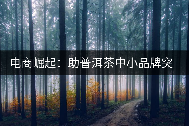 電商崛起:助普洱茶中小品牌突破瓶頸期 電商崛起:助普洱茶中小品牌突破瓶頸期