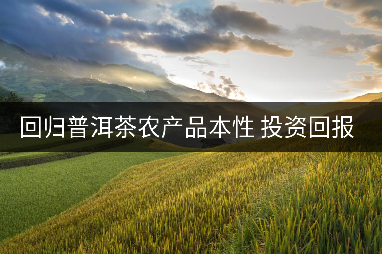回歸普洱茶農產品本性 投資回報率“馬上合乎心意” 回歸普洱茶農產品本性 投資回報率“馬上合乎心意”
