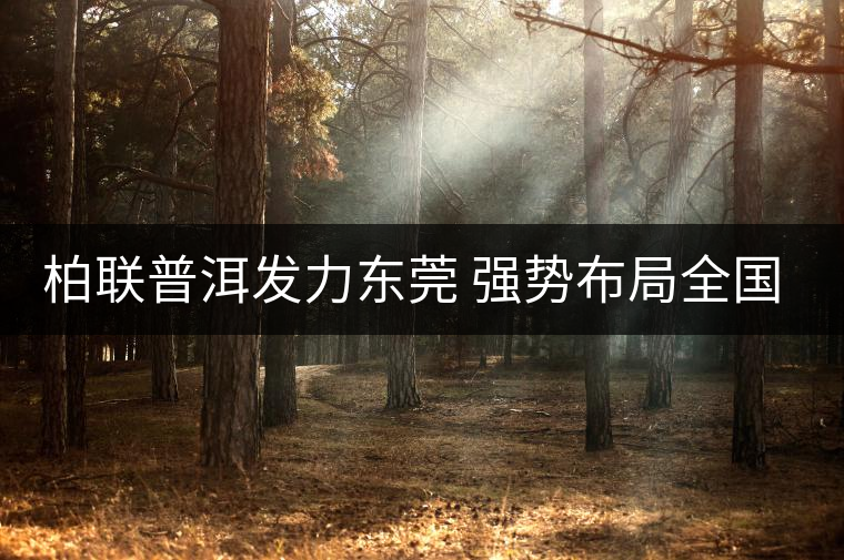 柏聯(lián)普洱發(fā)力東莞 強勢布局全國茶市 柏聯(lián)普洱發(fā)力東莞 強勢布局全國茶市