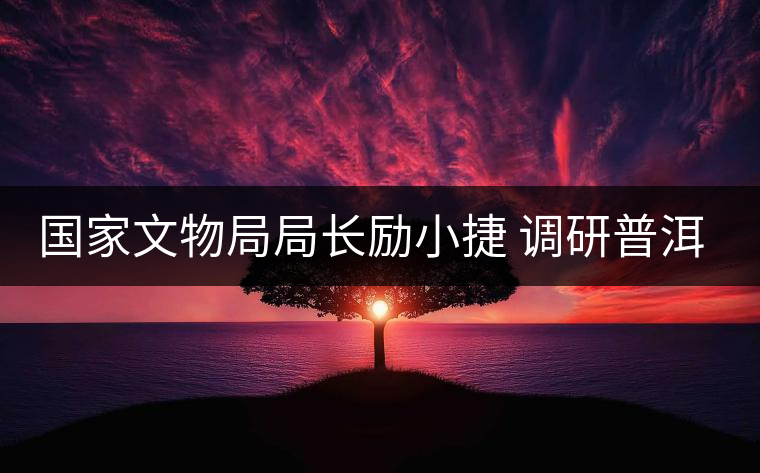 國家文物局局長勵(lì)小捷 調(diào)研普洱景邁山古茶園申遺工作 國家文物局局長勵(lì)小捷 調(diào)研普洱景邁山古茶園申遺工作