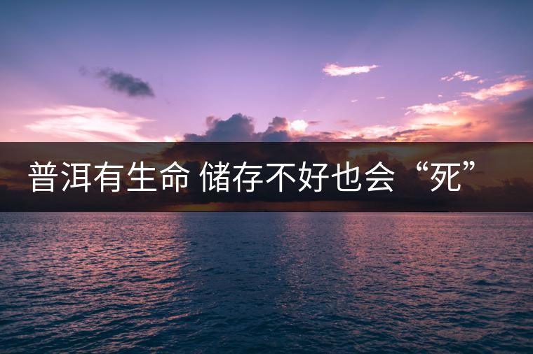普洱有生命 儲(chǔ)存不好也會(huì)“死”去 普洱有生命 儲(chǔ)存不好也會(huì)“死”去