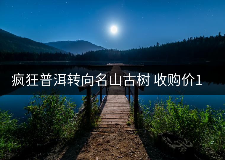 瘋狂普洱轉(zhuǎn)向名山古樹 收購價1年漲兩三倍 瘋狂普洱轉(zhuǎn)向名山古樹 收購價1年漲兩三倍