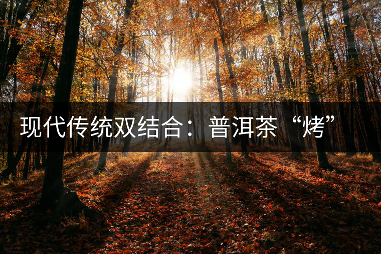 現(xiàn)代傳統(tǒng)雙結(jié)合:普洱茶“烤”上了太陽(yáng)能 現(xiàn)代傳統(tǒng)雙結(jié)合:普洱茶“烤”上了太陽(yáng)能