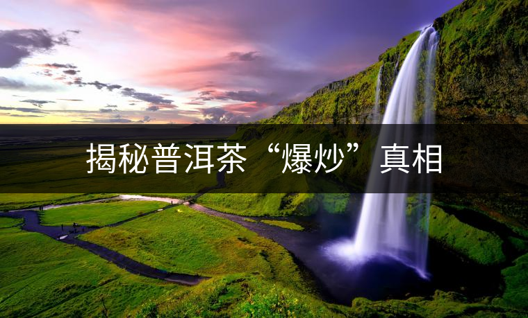 揭秘普洱茶“爆炒”真相
