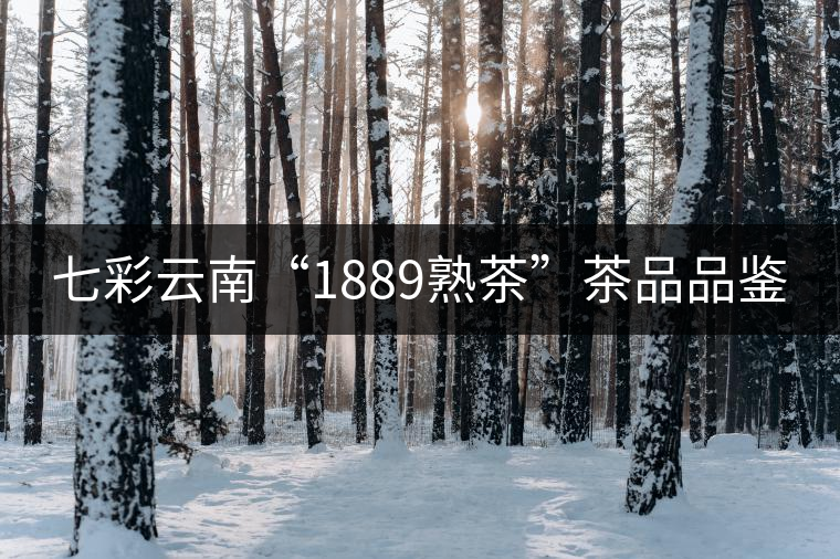 七彩云南“1889熟茶”茶品品鑒 七彩云南“1889熟茶”茶品品鑒