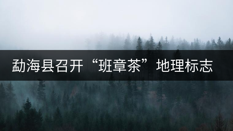 勐?？h召開“班章茶”地理標(biāo)志認(rèn)證評審會