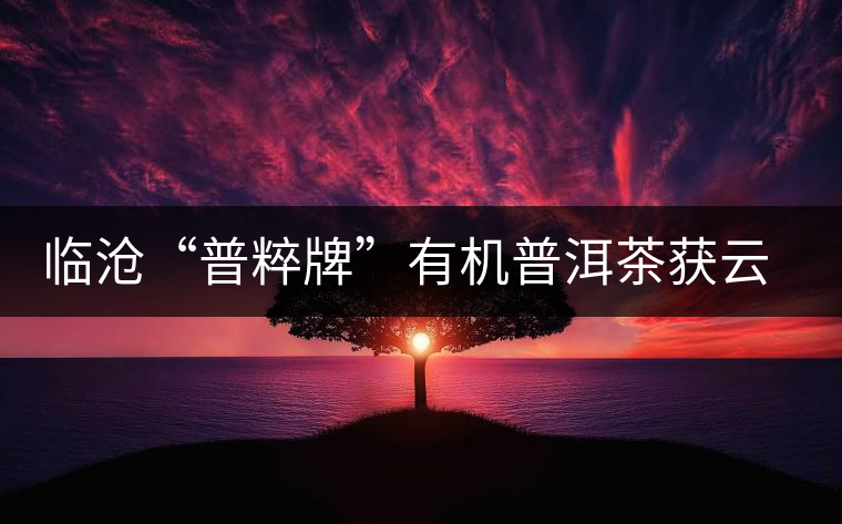 臨滄“普粹牌”有機普洱茶獲云南名牌農(nóng)產(chǎn)品稱號 臨滄“普粹牌”有機普洱茶獲云南名牌農(nóng)產(chǎn)品稱號