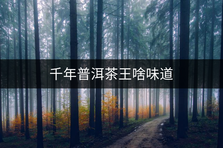 千年普洱茶王啥味道