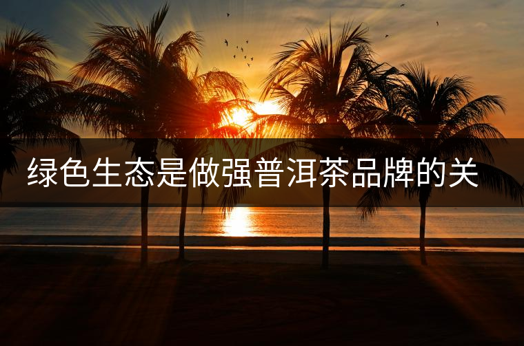 綠色生態(tài)是做強普洱茶品牌的關鍵 綠色生態(tài)是做強普洱茶品牌的關鍵