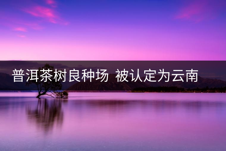 普洱茶樹良種場 被認定為云南省優(yōu)質種業(yè)基地 普洱茶樹良種場 被認定為云南省優(yōu)質種業(yè)基地
