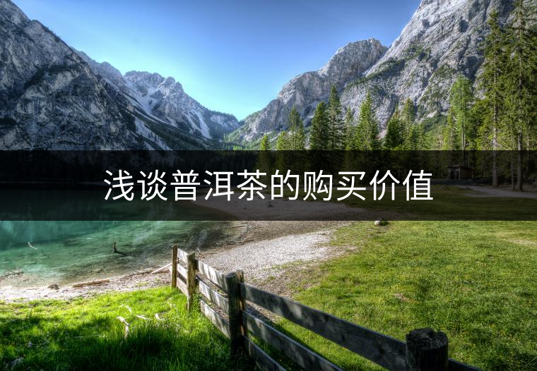 淺談普洱茶的購買價(jià)值 淺談普洱茶的購買價(jià)值