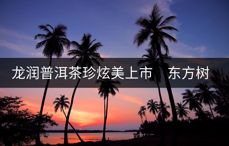 龍潤(rùn)普洱茶珍炫美上市　東方樹葉再現(xiàn)神奇