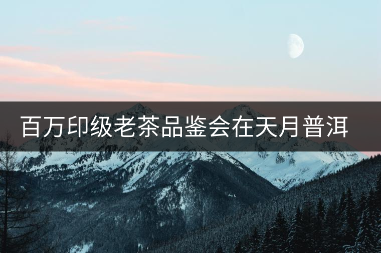 百萬印級老茶品鑒會(huì)在天月普洱館成功舉辦 百萬印級老茶品鑒會(huì)在天月普洱館成功舉辦