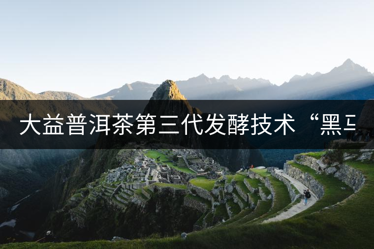 大益普洱茶第三代發(fā)酵技術(shù)“黑馬”