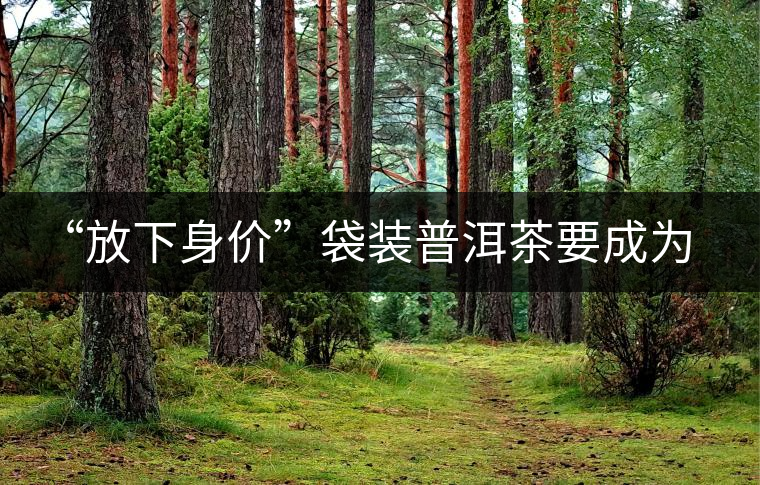 “放下身價”袋裝普洱茶要成為大眾飲品