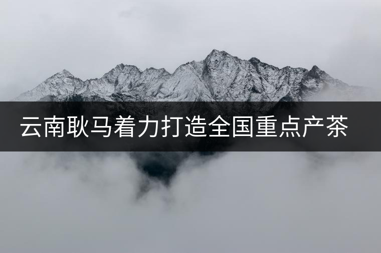 云南耿馬著力打造全國重點產(chǎn)茶縣 云南耿馬著力打造全國重點產(chǎn)茶縣