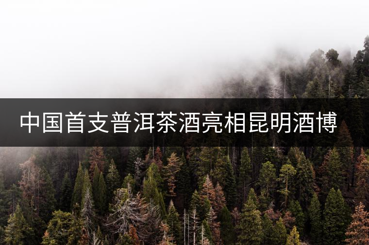 中國首支普洱茶酒亮相昆明酒博會