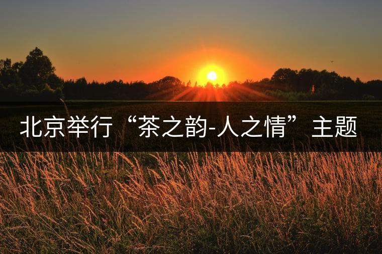 北京舉行“茶之韻-人之情”主題茶會 北京舉行“茶之韻-人之情”主題茶會