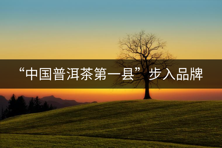 “中國(guó)普洱茶第一縣”步入品牌時(shí)代