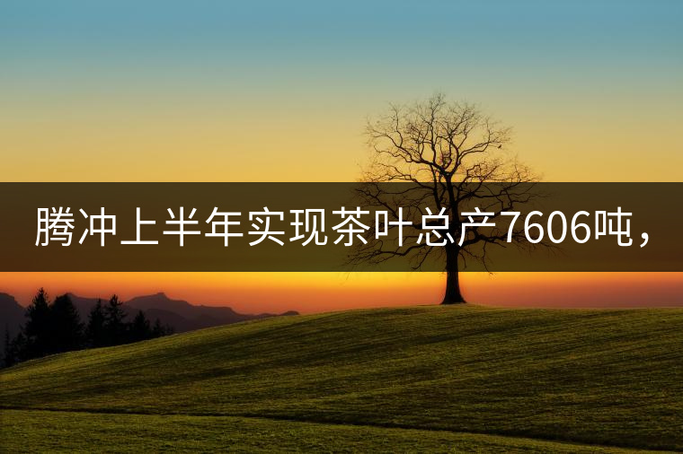 騰沖上半年實(shí)現(xiàn)茶葉總產(chǎn)7606噸，總產(chǎn)值5.58億元