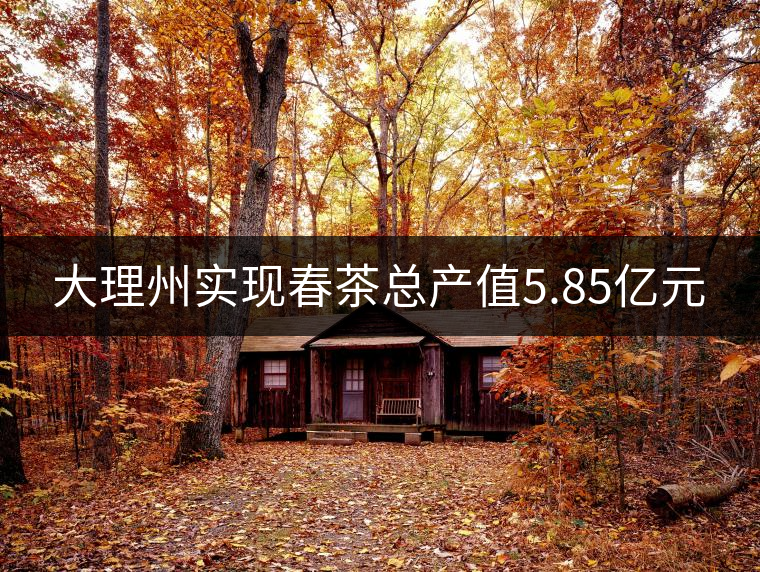 大理州實(shí)現(xiàn)春茶總產(chǎn)值5.85億元