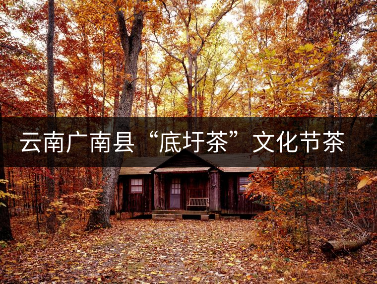 云南廣南縣“底圩茶”文化節(jié)茶品評會傳遞底圩傳統(tǒng)茶韻