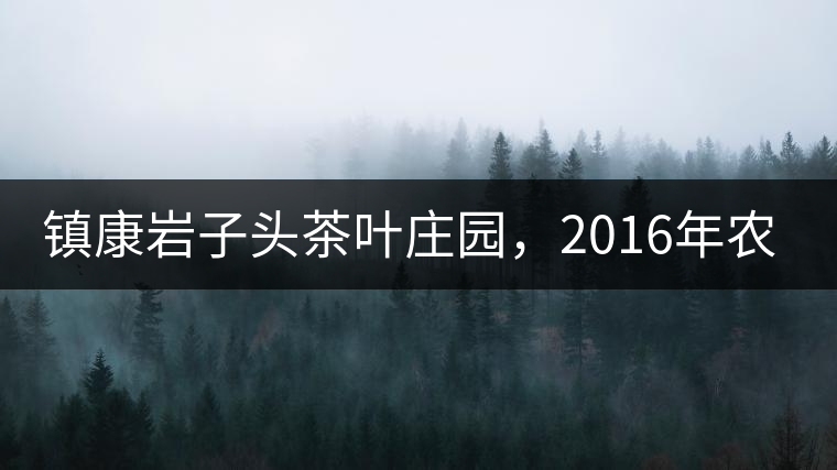 鎮(zhèn)康巖子頭茶葉莊園，2016年農(nóng)業(yè)產(chǎn)值達(dá)6000余萬元