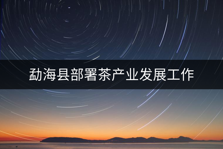 勐?？h部署茶產(chǎn)業(yè)發(fā)展工作