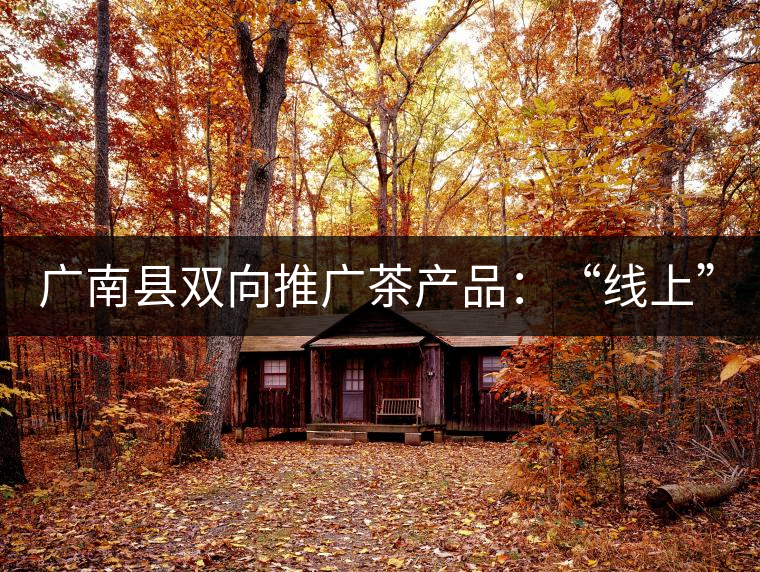 廣南縣雙向推廣茶產(chǎn)品：“線上”銷售茶葉已有100多家，“線下”銷售額已達百萬