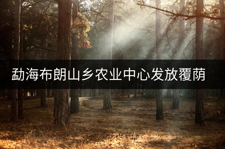 勐海布朗山鄉(xiāng)農(nóng)業(yè)中心發(fā)放覆蔭樹苗，創(chuàng)建衛(wèi)東生態(tài)茶園