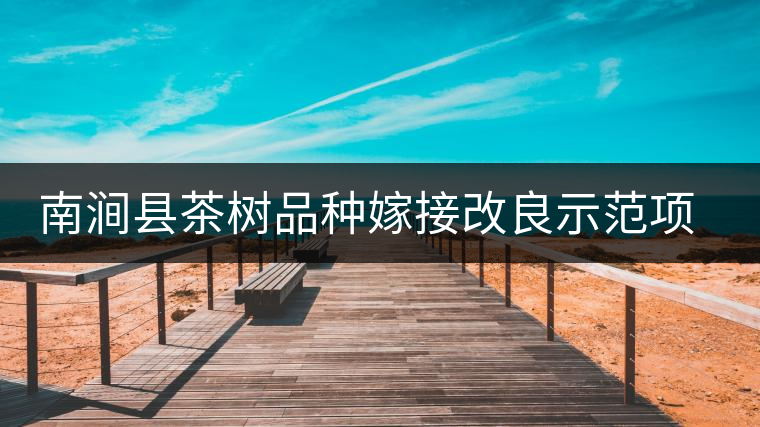 南澗縣茶樹(shù)品種嫁接改良示范項(xiàng)目全面完成