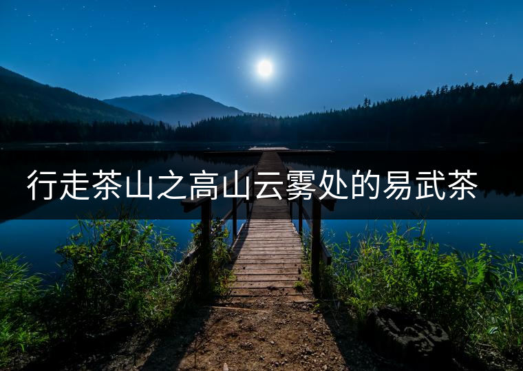 行走茶山之高山云霧處的易武茶園村寨 行走茶山之高山云霧處的易武茶園村寨