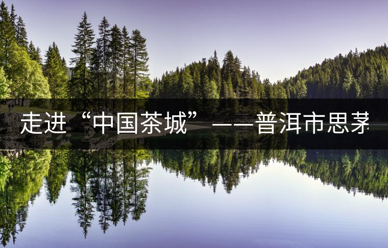 走進(jìn)“中國(guó)茶城”——普洱市思茅區(qū)(組圖) 走進(jìn)“中國(guó)茶城”——普洱市思茅區(qū)(組圖)