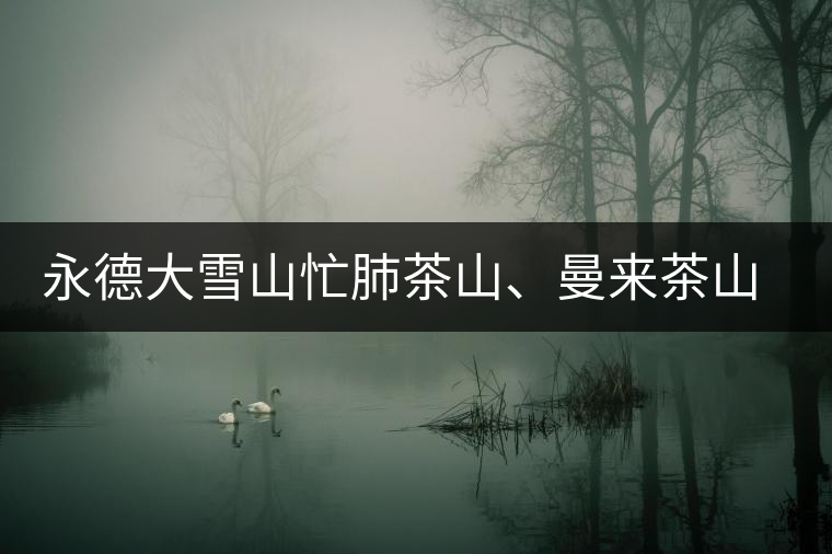 永德大雪山忙肺茶山、曼來茶山、放牛場茶園的生態(tài)指數(shù)