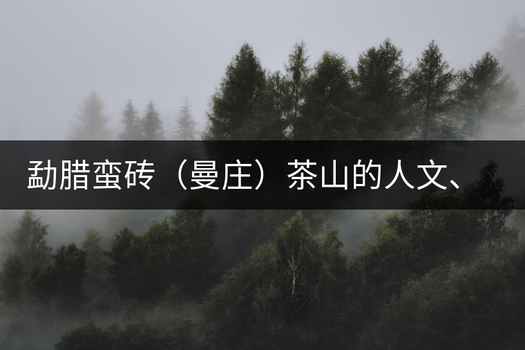 勐臘蠻磚(曼莊)茶山的人文、生態(tài)指數(shù) 勐臘蠻磚(曼莊)茶山的人文、生態(tài)指數(shù)