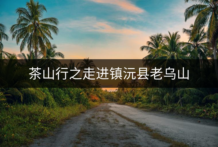 茶山行之走進(jìn)鎮(zhèn)沅縣老烏山 茶山行之走進(jìn)鎮(zhèn)沅縣老烏山
