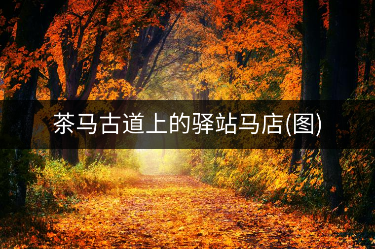 茶馬古道上的驛站馬店(圖)