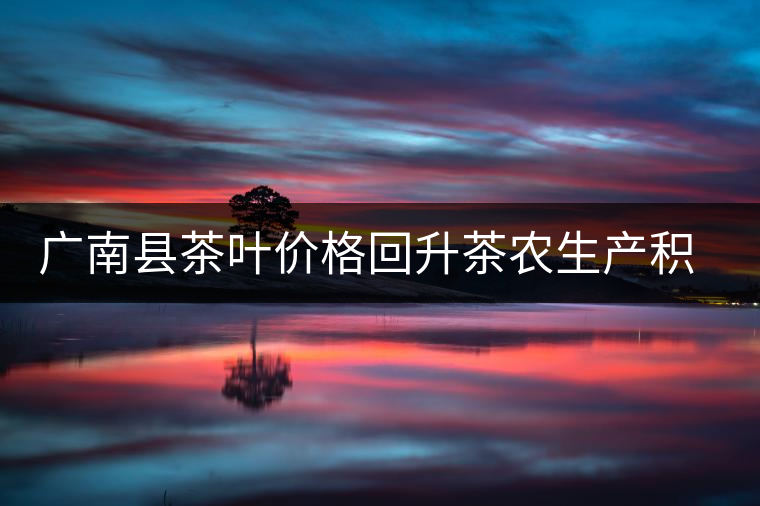 廣南縣茶葉價(jià)格回升茶農(nóng)生產(chǎn)積極性提高 廣南縣茶葉價(jià)格回升茶農(nóng)生產(chǎn)積極性提高