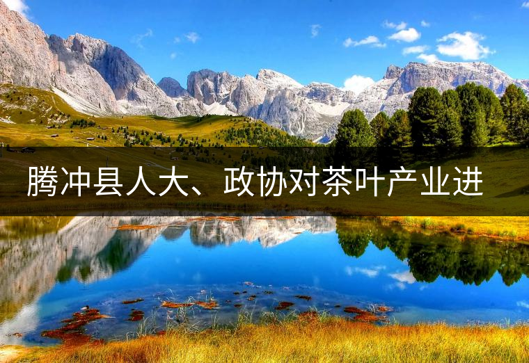 騰沖縣人大、政協(xié)對茶葉產(chǎn)業(yè)進(jìn)行視察