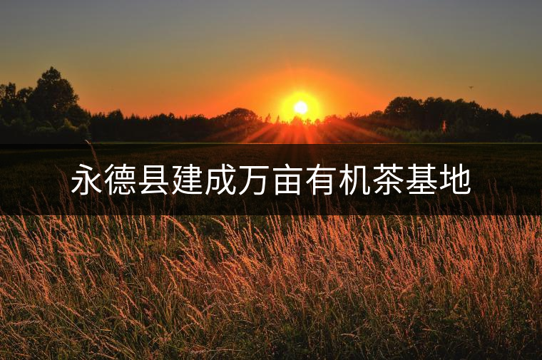 永德縣建成萬畝有機(jī)茶基地 永德縣建成萬畝有機(jī)茶基地