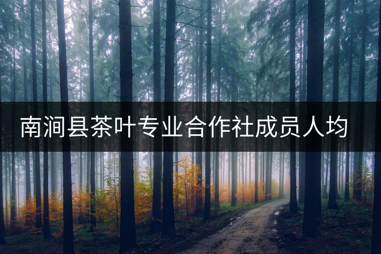 南澗縣茶葉專業(yè)合作社成員人均增收明顯 南澗縣茶葉專業(yè)合作社成員人均增收明顯