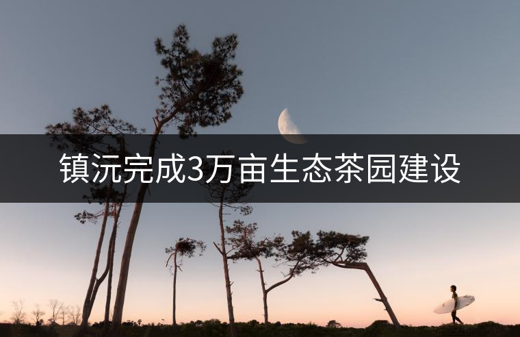 鎮(zhèn)沅完成3萬(wàn)畝生態(tài)茶園建設(shè) 鎮(zhèn)沅完成3萬(wàn)畝生態(tài)茶園建設(shè)