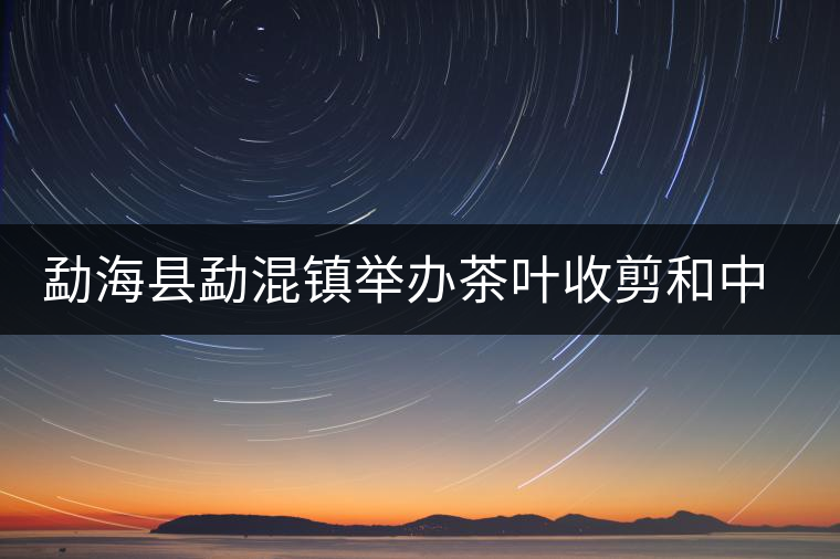 勐海縣勐混鎮(zhèn)舉辦茶葉收剪和中耕培土現(xiàn)場(chǎng)培訓(xùn)會(huì)