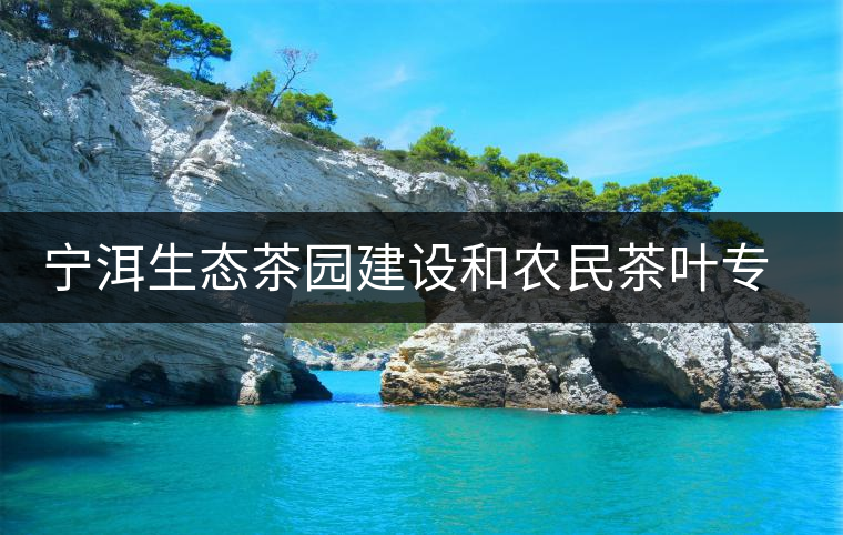 寧洱生態(tài)茶園建設(shè)和農(nóng)民茶葉專業(yè)合作社調(diào)查 寧洱生態(tài)茶園建設(shè)和農(nóng)民茶葉專業(yè)合作社調(diào)查