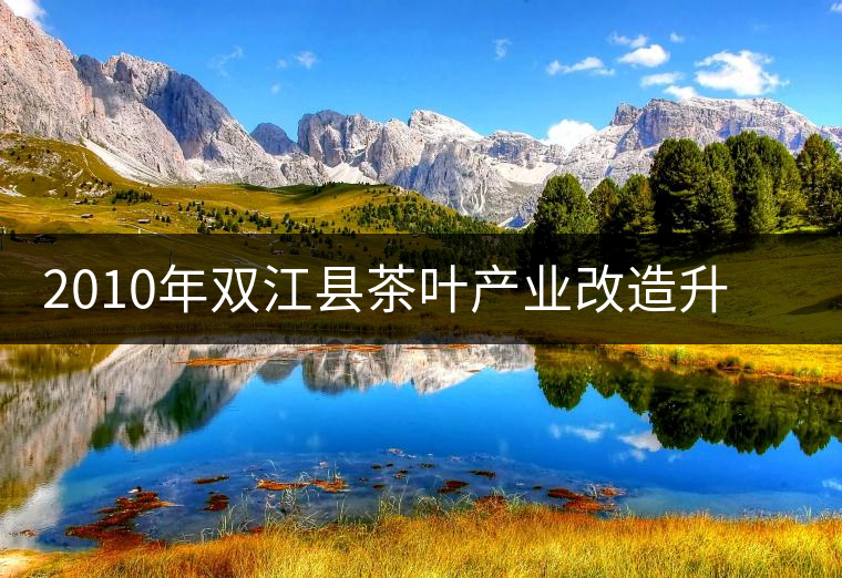 2010年雙江縣茶葉產(chǎn)業(yè)改造升級步伐加快 2010年雙江縣茶葉產(chǎn)業(yè)改造升級步伐加快