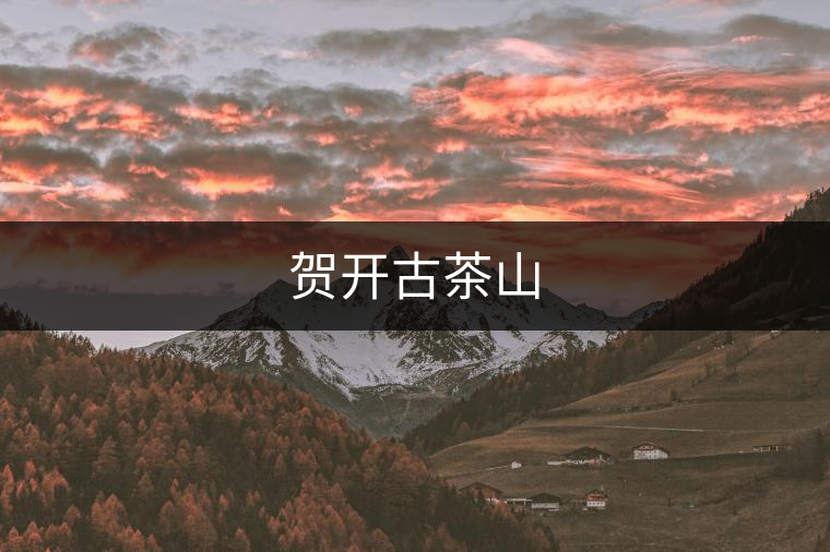 賀開(kāi)古茶山 賀開(kāi)古茶山