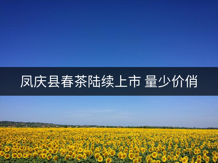 鳳慶縣春茶陸續(xù)上市 量少價(jià)俏 鳳慶縣春茶陸續(xù)上市 量少價(jià)俏