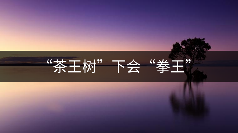 “茶王樹”下會(huì)“拳王”